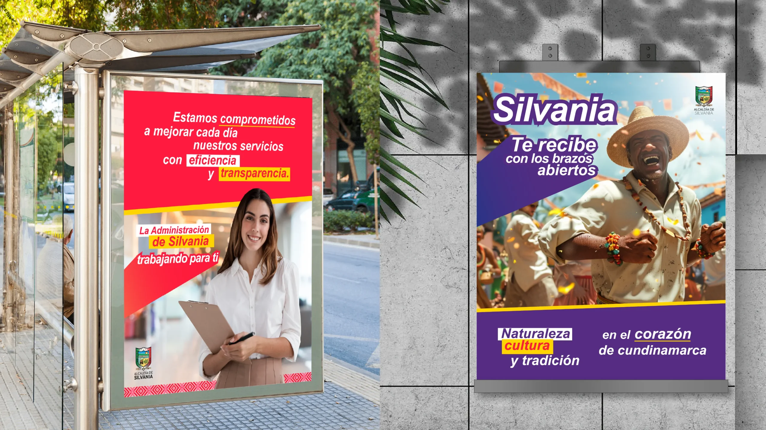 Proyecto ALCALDÍA DE SILVANIA